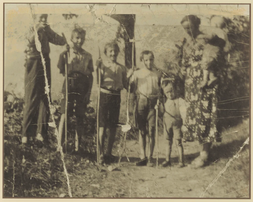 vidoni fratelli storia | Storia