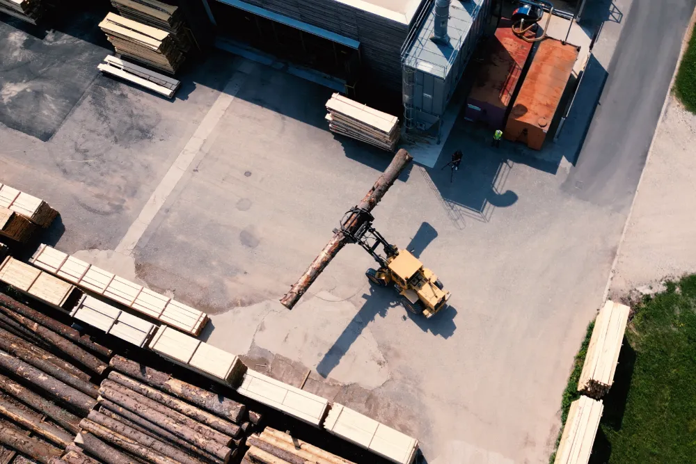 vidoni marco azienda oggi storia | Storia