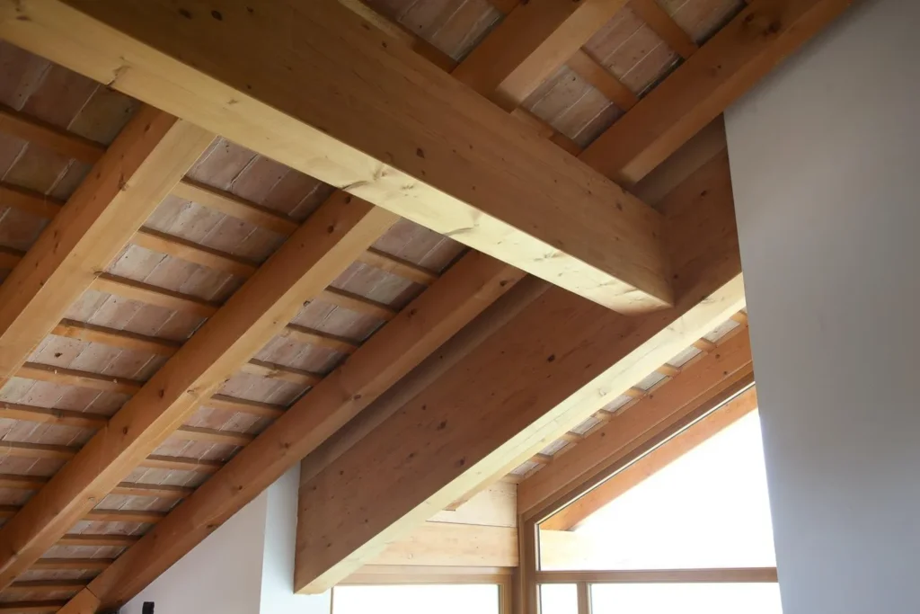 vidoni portfolio gallery 2025 01 | Portfolio