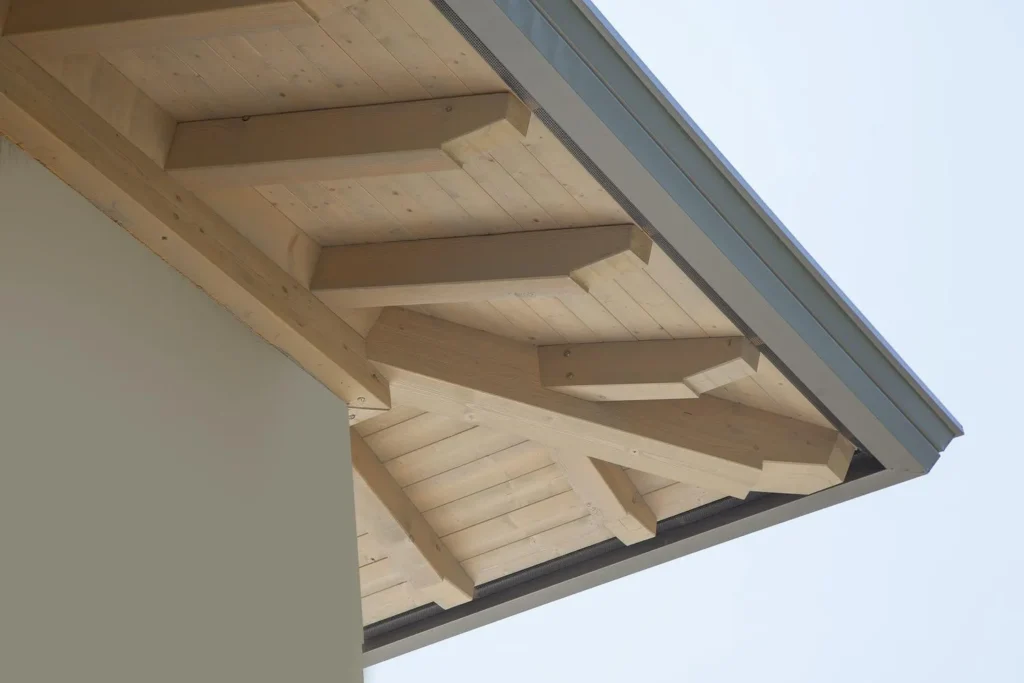 vidoni portfolio gallery 2025 10 | Portfolio