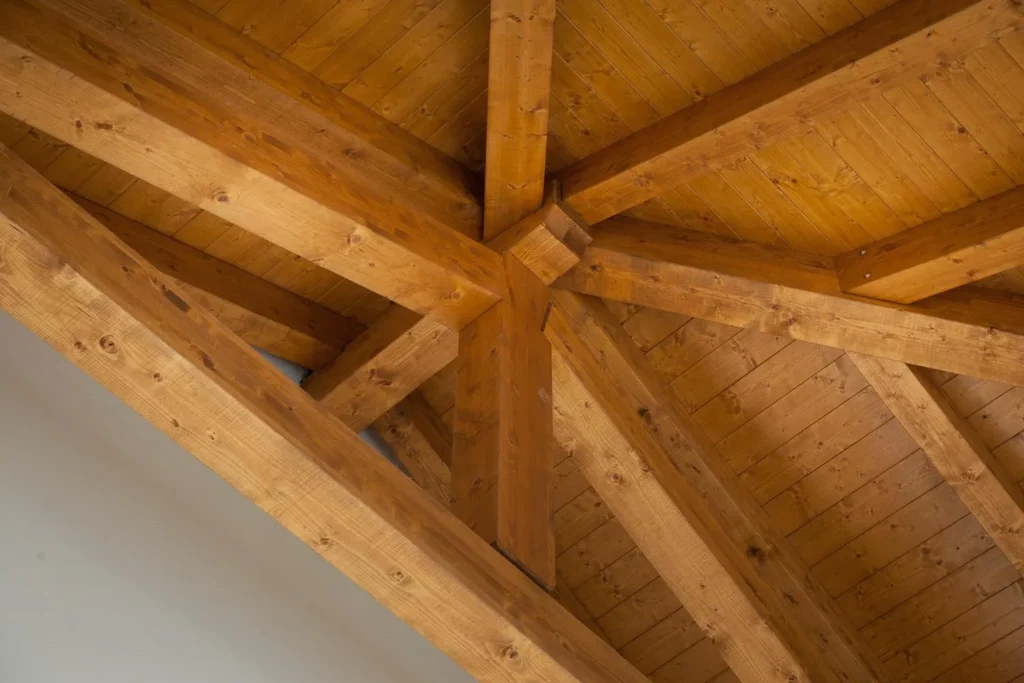 vidoni portfolio gallery 2025 15 | Portfolio