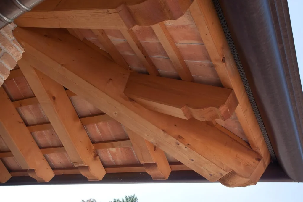 vidoni portfolio gallery 2025 18 | Portfolio