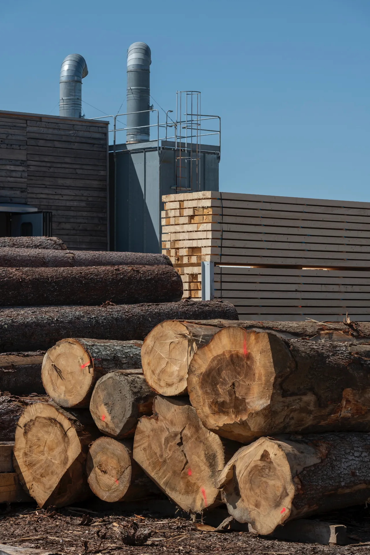 vidoni produzione legno profilo azienda 01 | Profilo Azienda