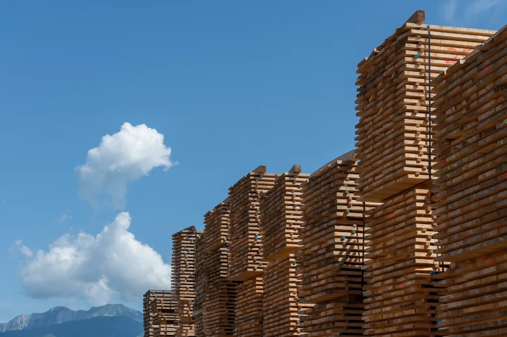 Prodotti e Servizi 2 vidoni segheria servizi 01 | Prodotti e Servizi