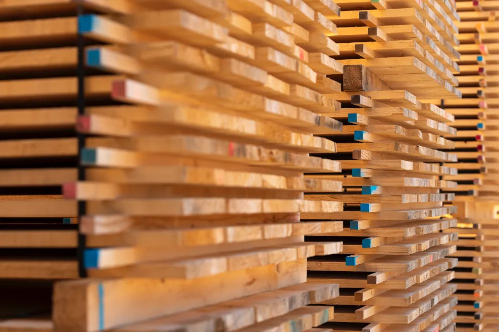 Prodotti e Servizi 3 vidoni segheria servizi 02 | Prodotti e Servizi